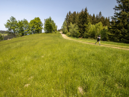 Valašský Hrb 2023. Autor: Daniel Nováček